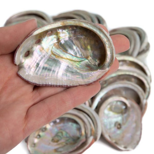 NATURAL ABALONE SHELL FOR SMUDGING AND BURNING HERBS - Unique & Authentic (50mm-100mm) - Spirit And Shadow