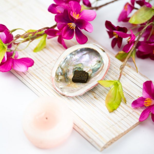 NATURAL ABALONE SHELL FOR SMUDGING AND BURNING HERBS - Unique & Authentic 70mm-90mm - Spirit And Shadow