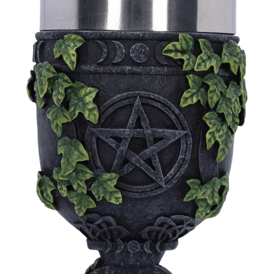 Decorative cup with pentagram design and green leaves on a white background