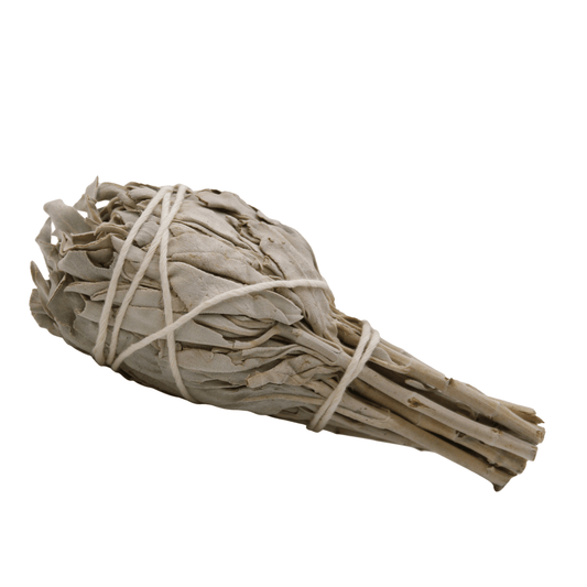 Bundled sage smudge stick on a white background