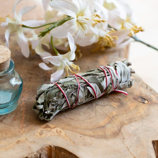WHITE SAGE AND YERBA SANTA SMUDGE– Purification & Spiritual Healing - Spirit And Shadow
