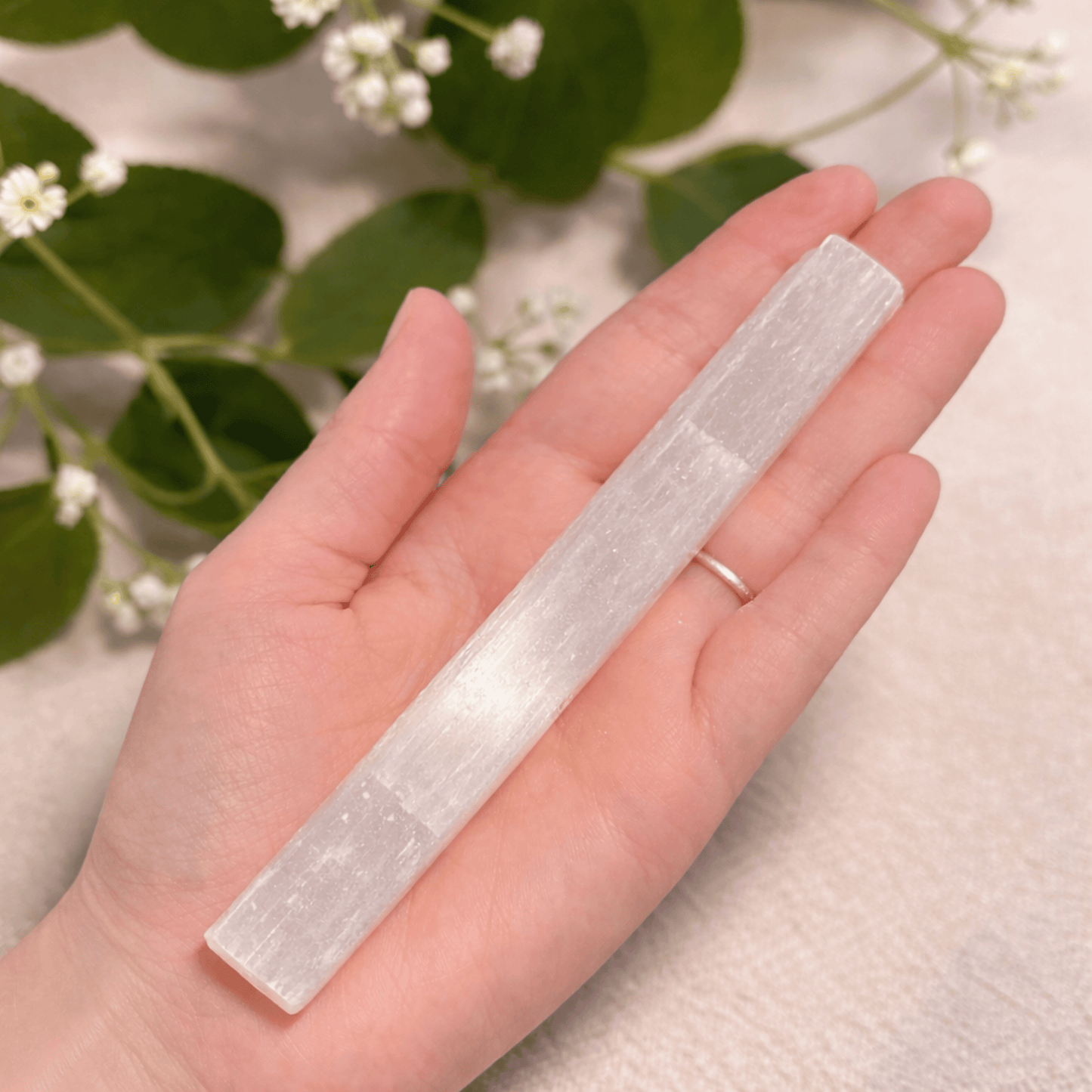 Selenite Charging Bars in their raw form on a hand to show the size on a beige background with green leaves and flowers