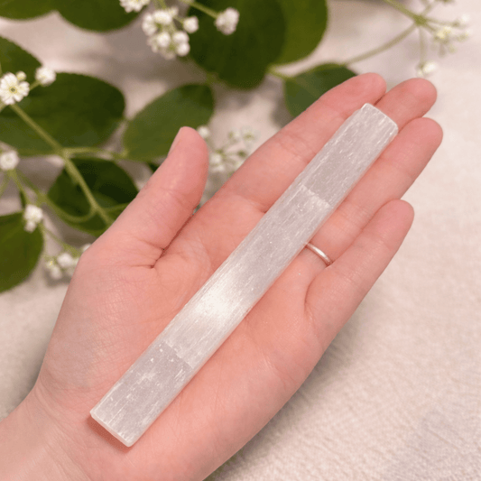 Selenite Charging Bars in their raw form on a hand to show the size on a beige background with green leaves and flowers