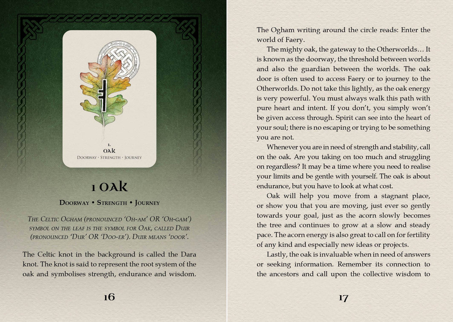 Pages out of the guide book the card with an illustration of a tree and text on a green background