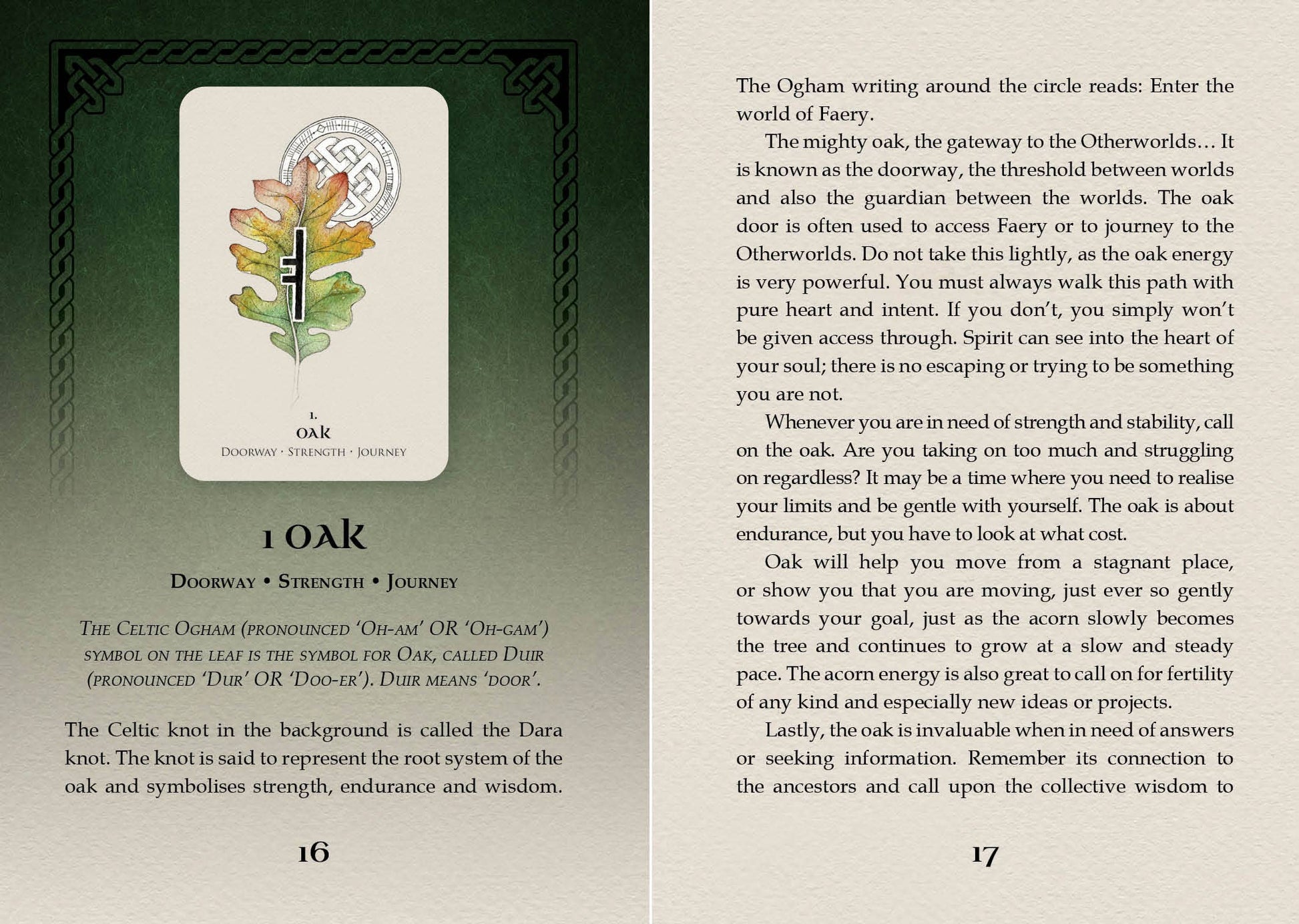 Pages out of the guide book the card with an illustration of a tree and text on a green background