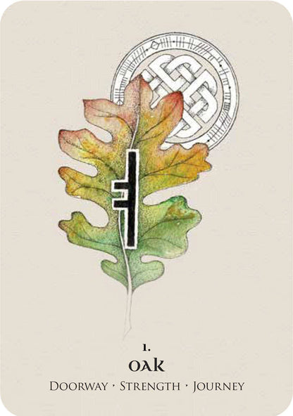 Card with an oak leaf and a symbol, on a beige background
