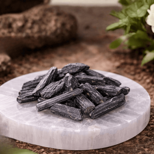 Black raw tourmaline on a selenite white charging plate with a natural earth brown background