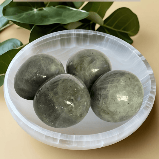 Four Labradorite stones in a selenite bowl with green leaves in the background