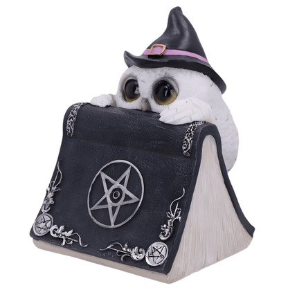 Owl figurine wearing a witch hat peeking out from behind an open book with a pentagram symbol on a white background.