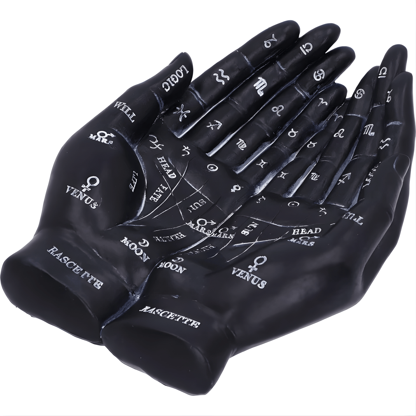 Black gloves with astrological symbols and text on a white background
