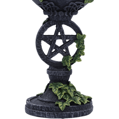 Decorative object with a pentagram design and green leaves on a white background