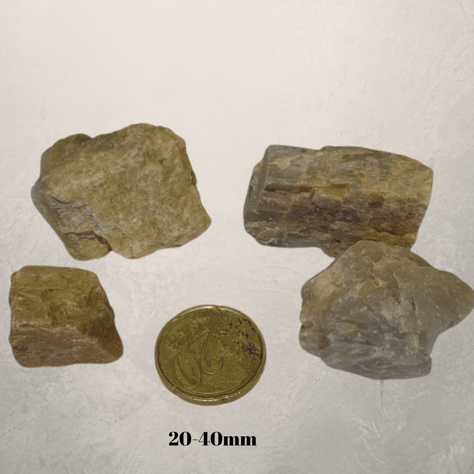4 rough moonstone crystal pieces and a 20 cent coin for scale on a beige background