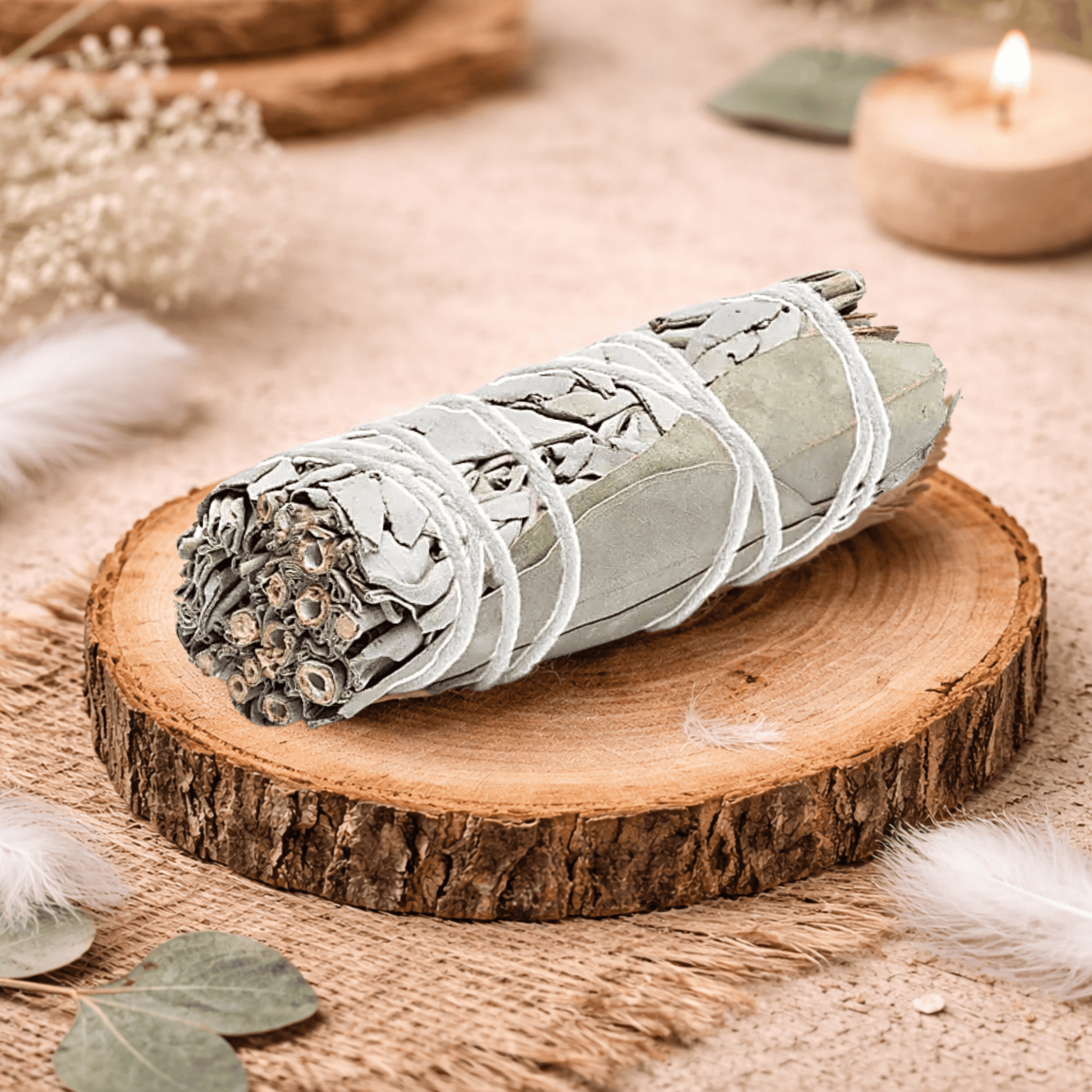 White sage with eucalyptus leaves tied with a white string on a wooden log and beige background