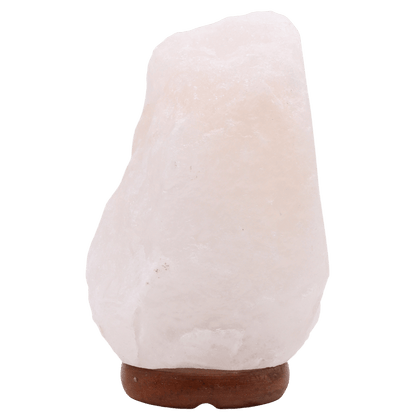 White ceramic vase with brown base on a transparent background