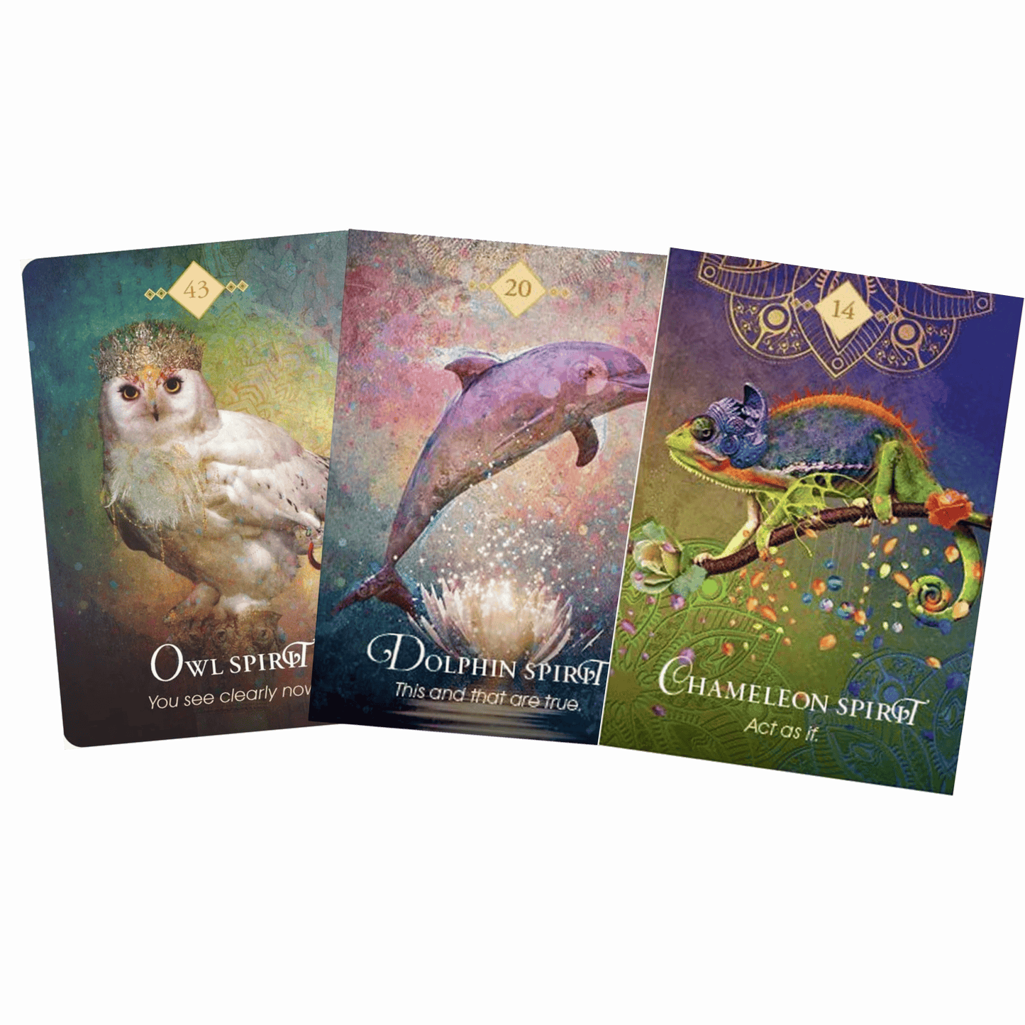 Three tarot cards featuring an owl, dolphin, and chameleon with descriptive text on a gray background.