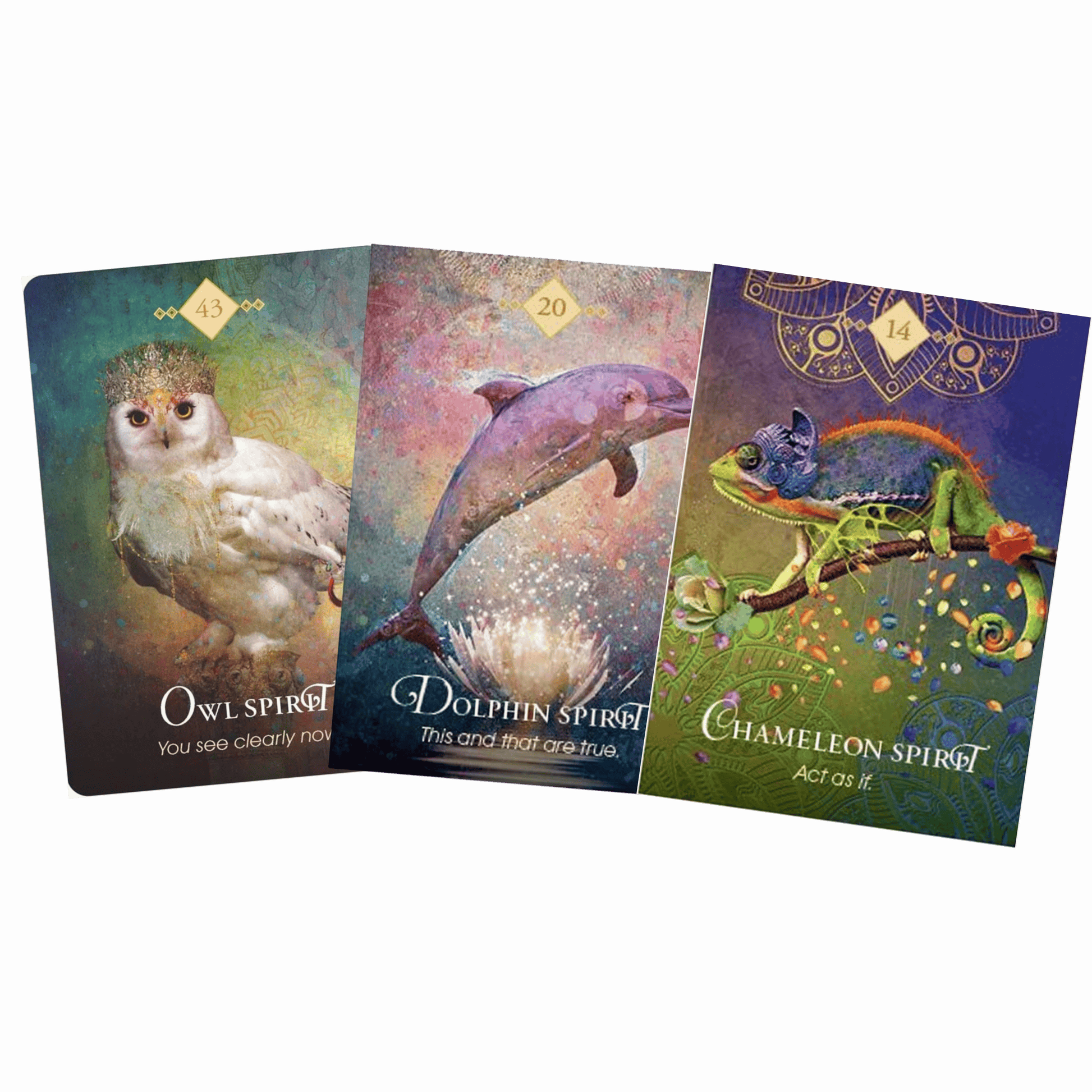 Three tarot cards featuring an owl, dolphin, and chameleon with descriptive text on a gray background.