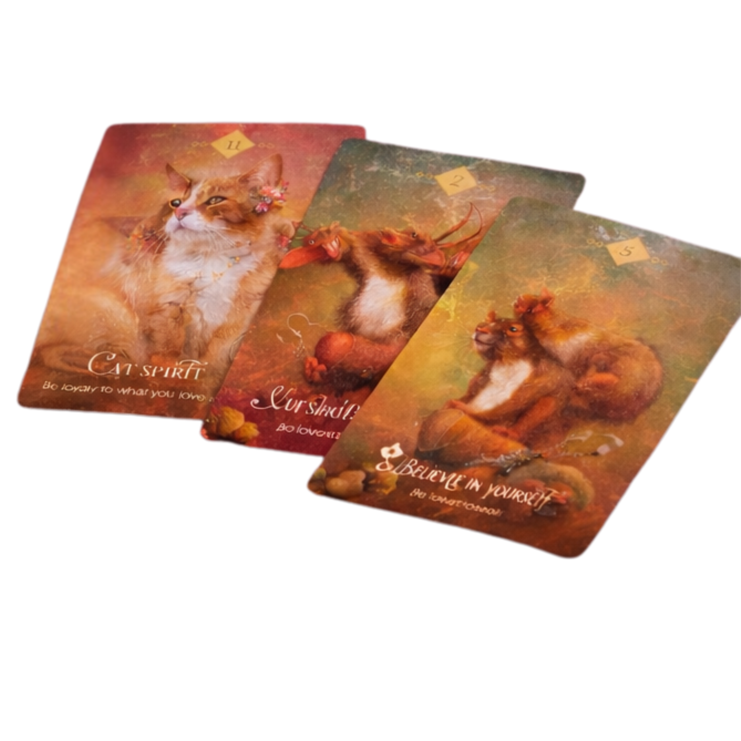 Set of four tarot cards featuring cats on a white background