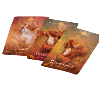 Set of four tarot cards featuring cats on a white background