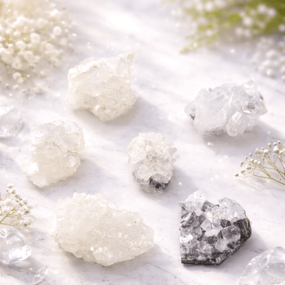 Crystal rocks on a white surface with small plants
