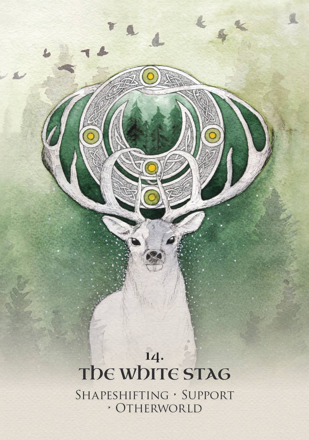 Illustration of a white stag with intricate antlers against a green background